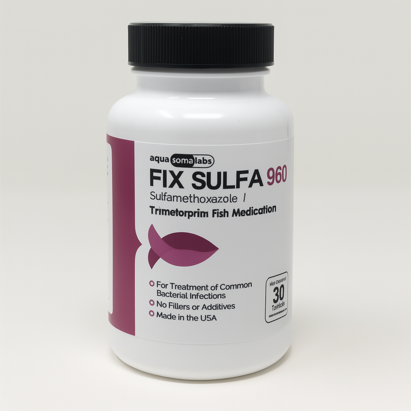 Aqua Sulfa 960mg – 30 Tablets