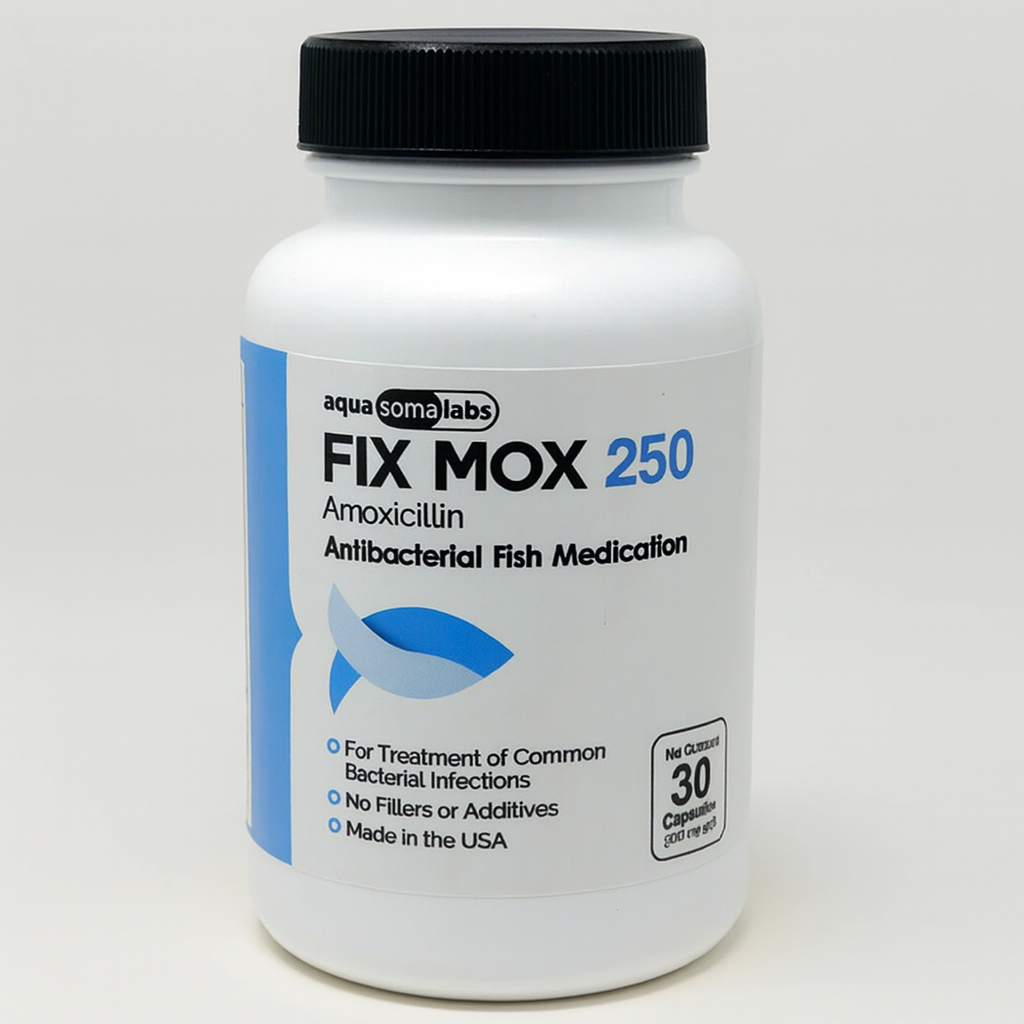 Mox Amoxicillin 250mg – 30 Capsules