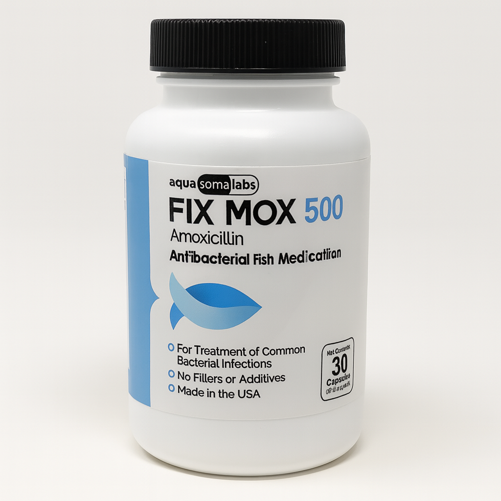 Mox Amoxicillin 500mg – 30 Capsules